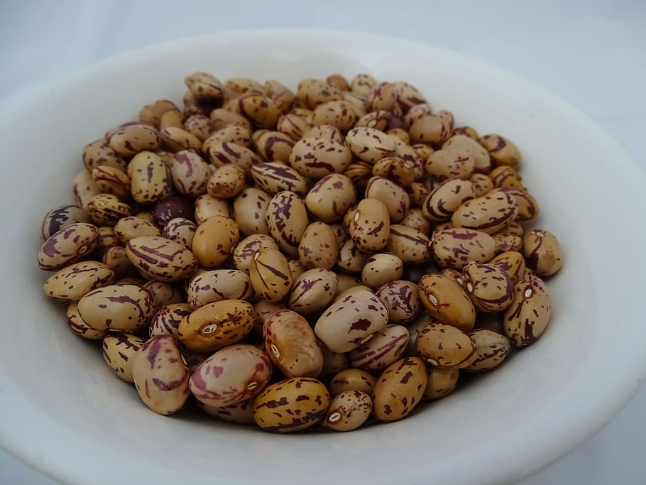 beans, food, nutrition, freshness, food and drink, still life HD wallpaper