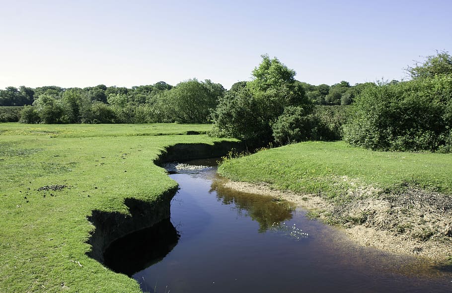 Stream, Countryside, Nature, brook, landscape, water, river HD wallpaper