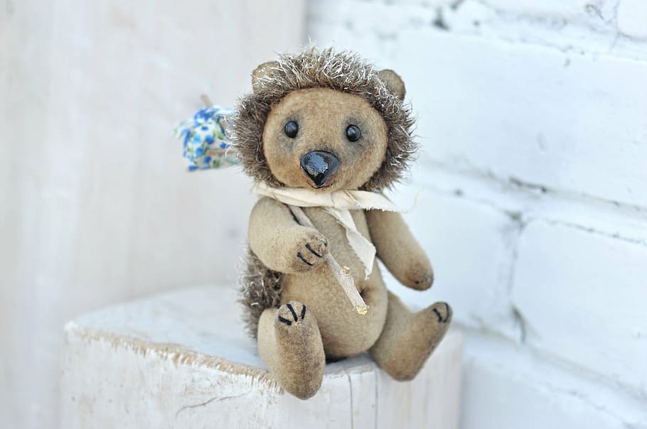 soft toy, hedgehog, their hands, creativity, dog, looking at camera HD wallpaper