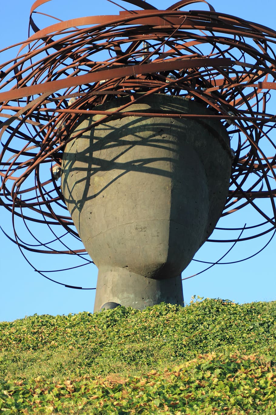 head statuette, brain, think, abstract, low angle view, plant HD wallpaper