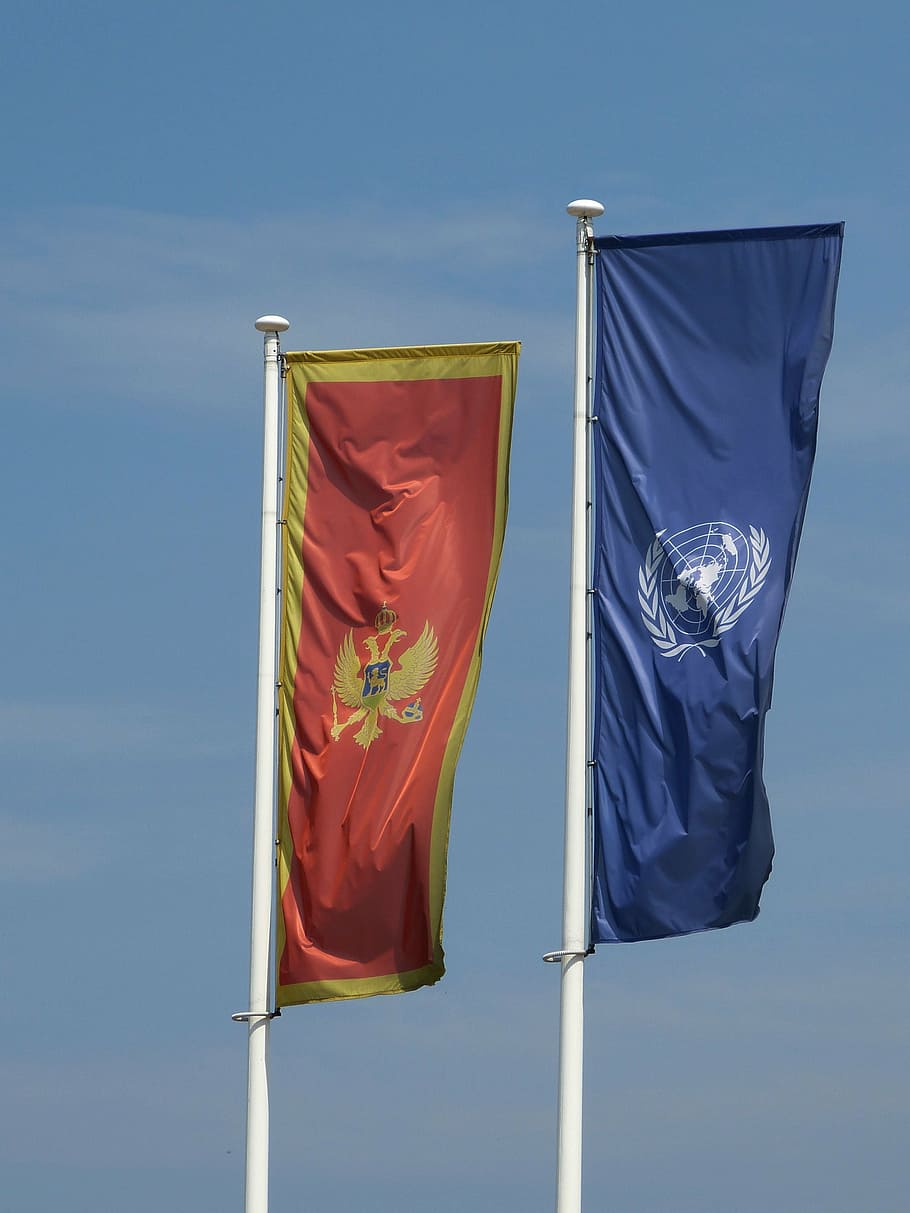 montenegro, balkan, flag, adler, un, state, patriotism, wind, HD wallpaper