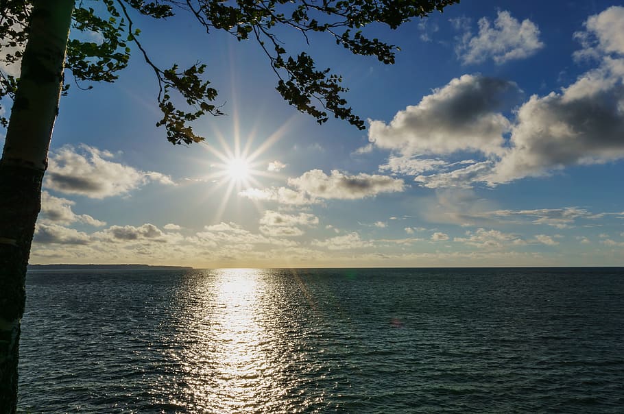 rippling body of water, sea, baltic, tree, sun, clouds, sky HD wallpaper