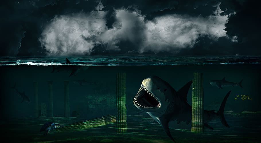illustration of three sharks, Fantasy, Underwater, Under Water
