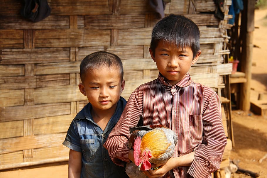 boys, little, young, happy, walking, laos, local, people, beautiful