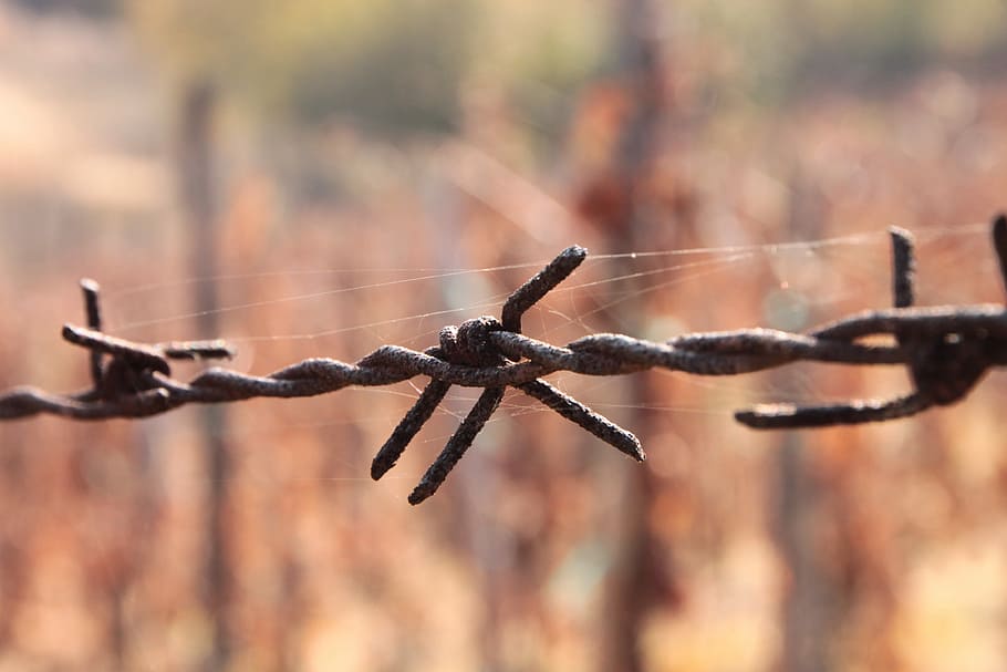 Close-Up, Iron, Old, Wire, barbed, rusty, industries, objects HD wallpaper