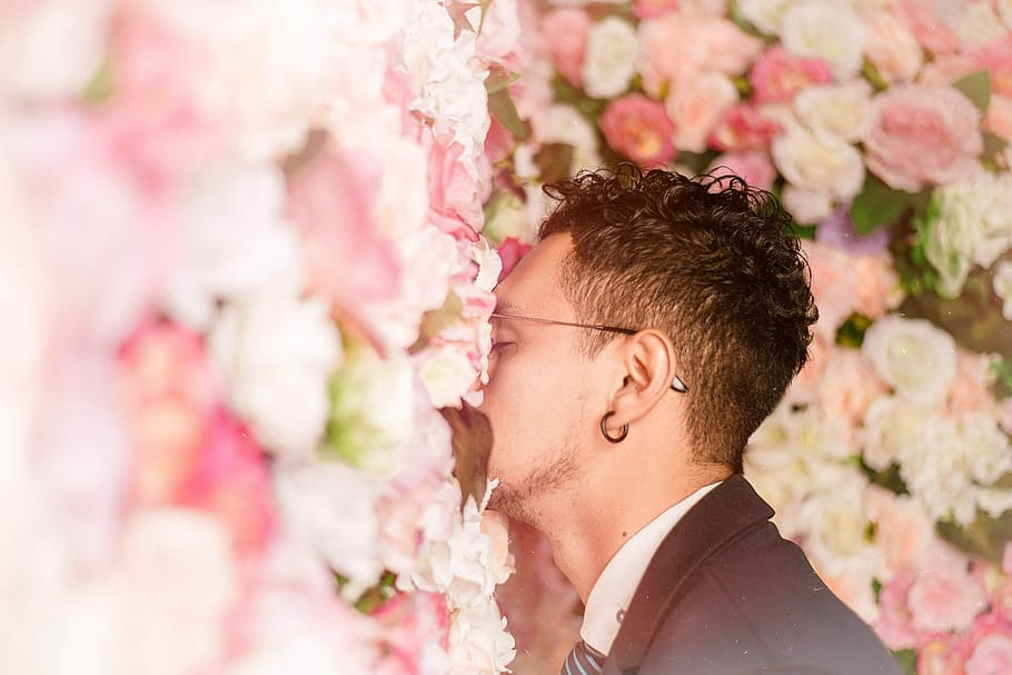 man leaning on flower wall, man smelling pink petaled flowers HD wallpaper