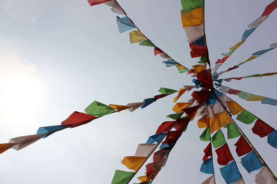 Prayer Flags, Colorful, Look Up, blue, sky, outdoors, multi Colored HD wallpaper