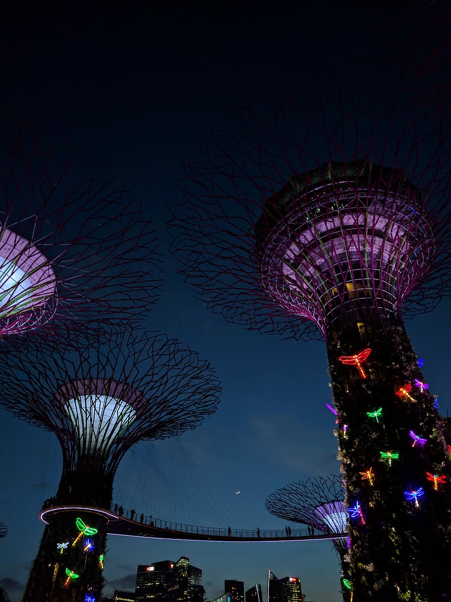Garden by the Bay, Singapore, Supertree Grove, Singapore, building HD wallpaper
