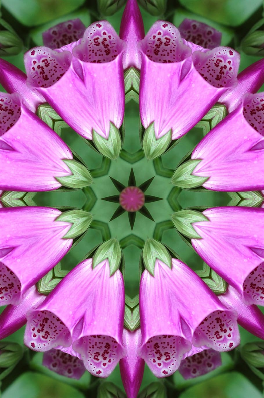 flowers, digitalis, pink, abstract, background, kaleidoscope, HD wallpaper