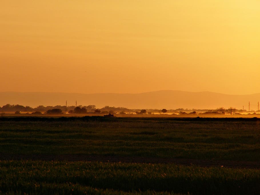 nature, sunset, field, sky, grass, agriculture, land, yellow HD wallpaper