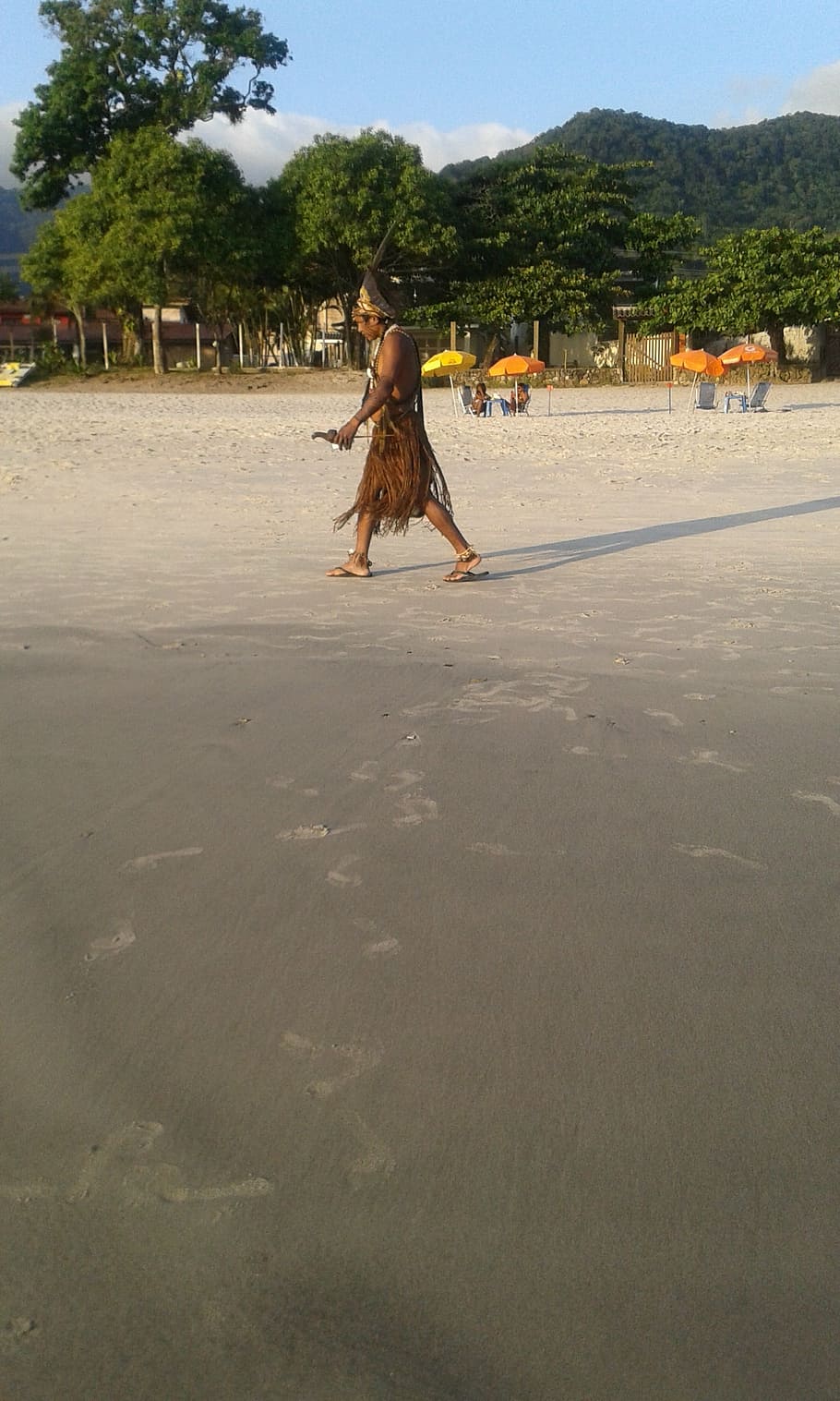 indian, beach, walking, people, real people, tree, day, lifestyles HD wallpaper