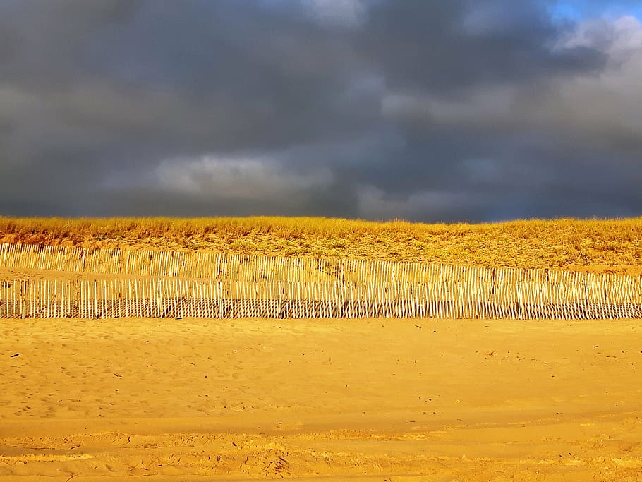 dune, beach, sand, atlantic coast, after the rain, after the thunderstorm HD wallpaper