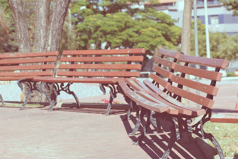 park, benches, sunny, seat, chair, empty, absence, table, day HD wallpaper