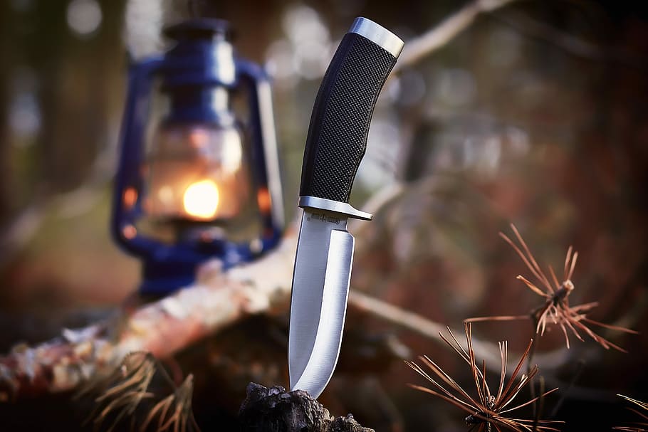 black handled pocketknife near red flowers in selective focus photography HD wallpaper