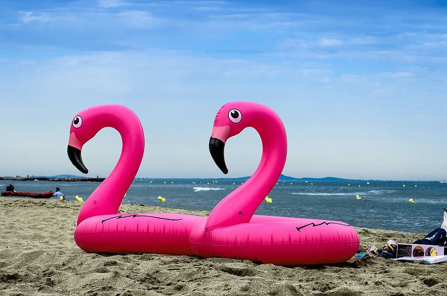 waters, sea, beach, pink color, sky, land, nature, beauty in nature HD wallpaper