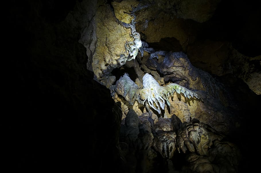 stalactite, cave, stalactite cave, black, blue, beige, animal HD wallpaper