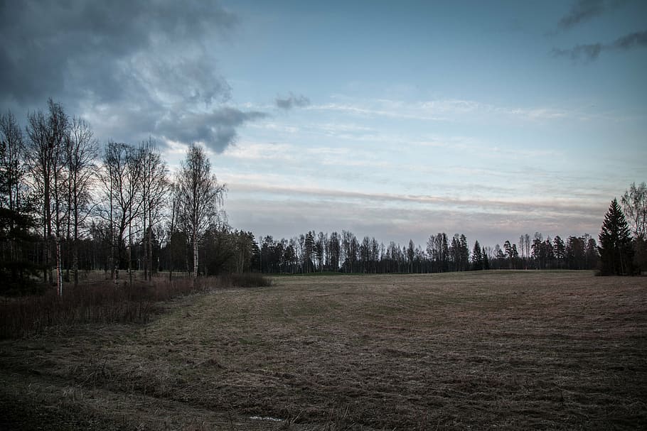 field, dark, landscape, nature, dramatic, natural, rural, grass HD wallpaper
