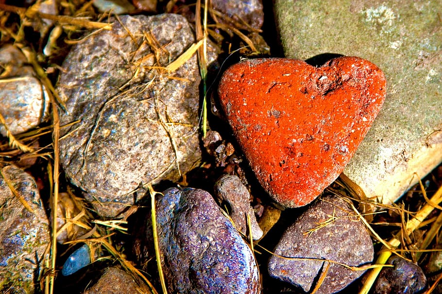 HD wallpaper: orange heart painted stone, stones, nature, love, romantic,  valentine's day | Wallpaper Flare
