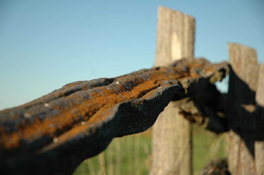 fence, rust, iron, metal, old, blue, outdoor, steel, brown HD wallpaper