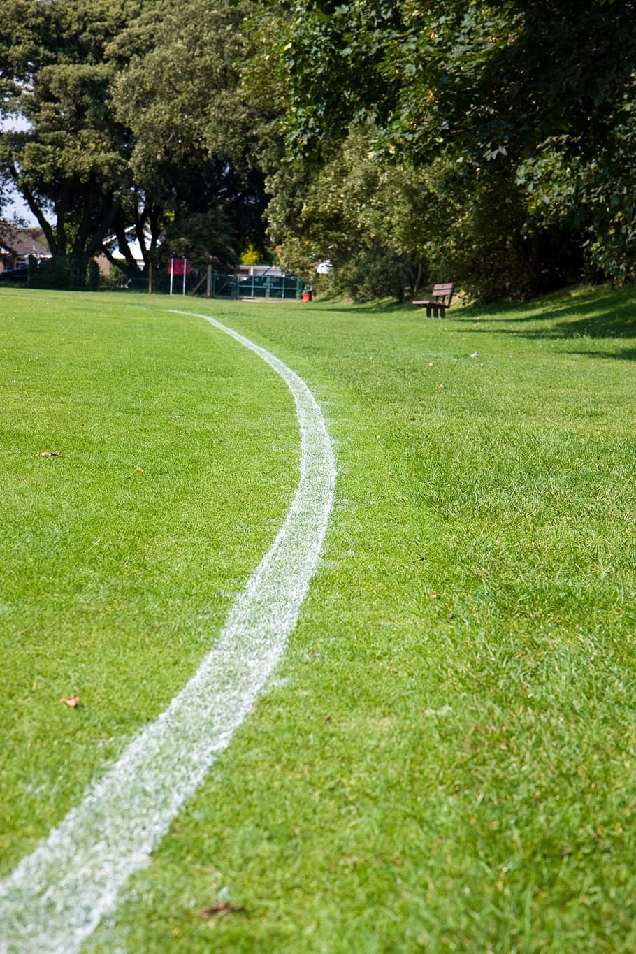 boundary line, white, marker, green, grass, sport, field, plant HD wallpaper
