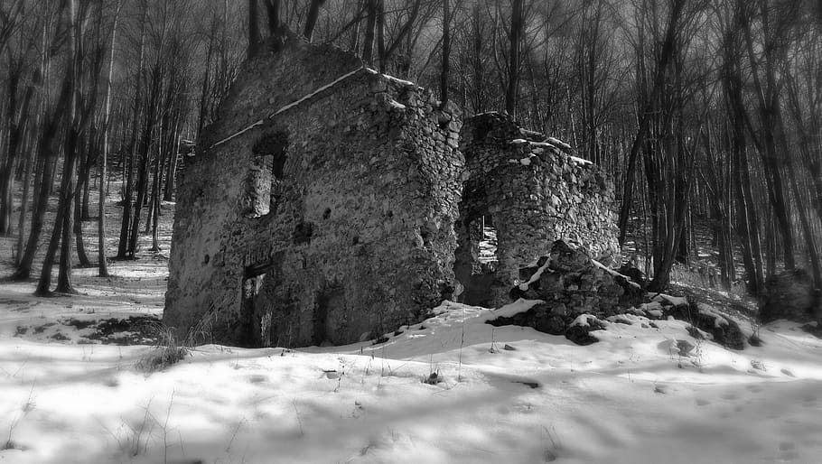 poland, building, old, crash, history, snow, tree, winter, cold temperature HD wallpaper