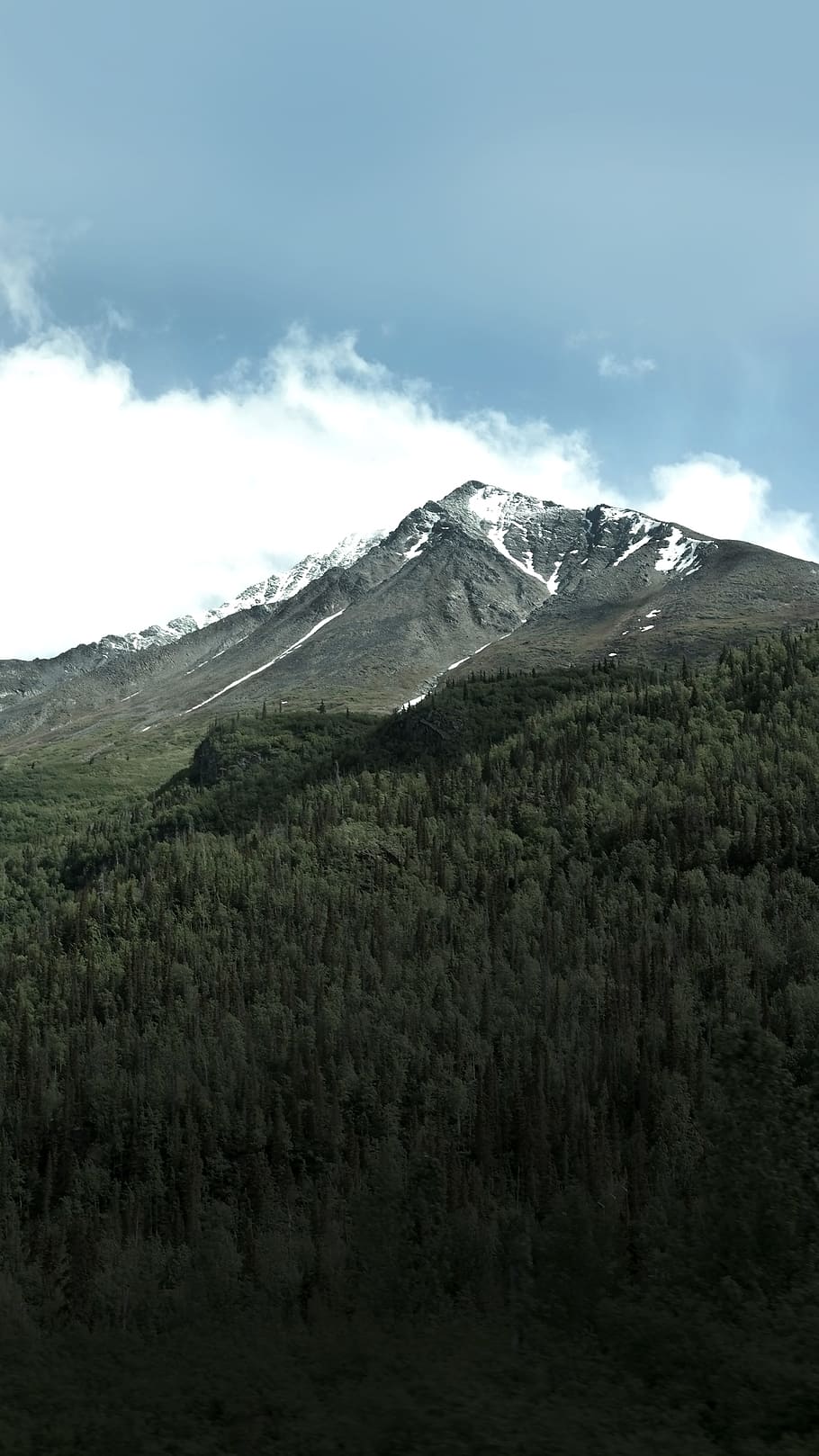 snowy mountain under blue sky, gray mountain surrounded with forest under clear blue sky HD wallpaper