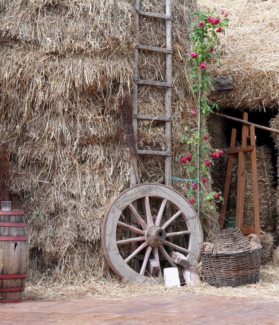 tuscany, straw, wheel, plant, nature, day, no people, transportation HD wallpaper