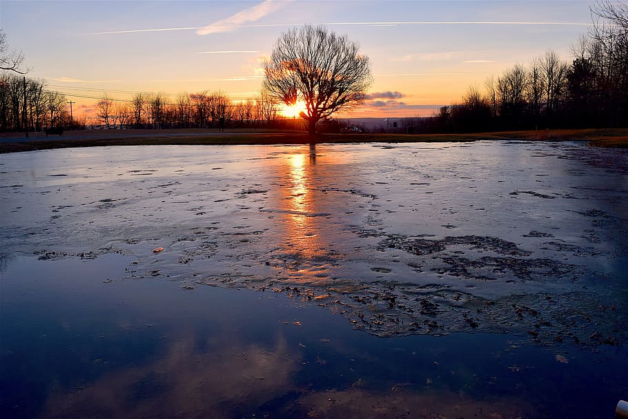 sunrise, ice, pond, tree, light, red, orange, sunlight, outdoor HD wallpaper