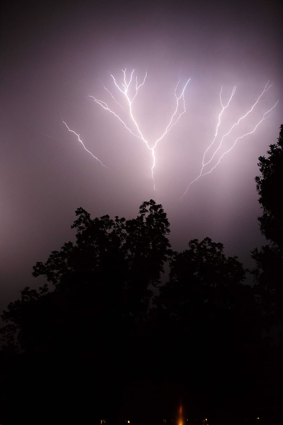 silhouette of trees under thunder lightning, photo of lightning