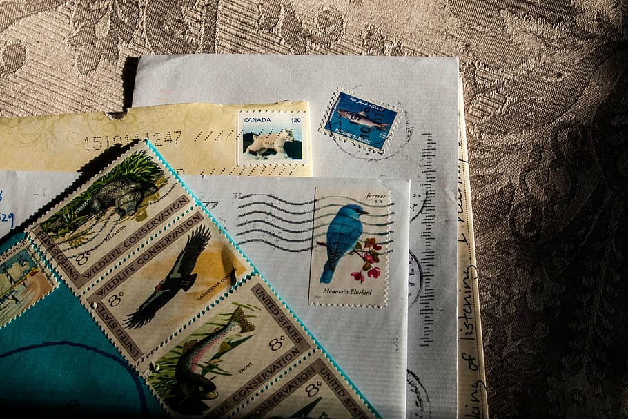 assorted animal-print postage stamps, mail, postal, letter HD wallpaper