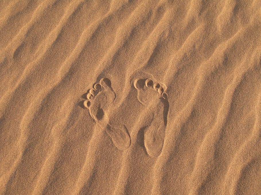 sand, desert, sandy, beach, dune, footprint, land, high angle view HD wallpaper