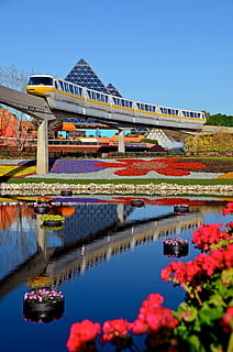 red and white passenger train, tram, disney, epcot, track, transportation HD wallpaper