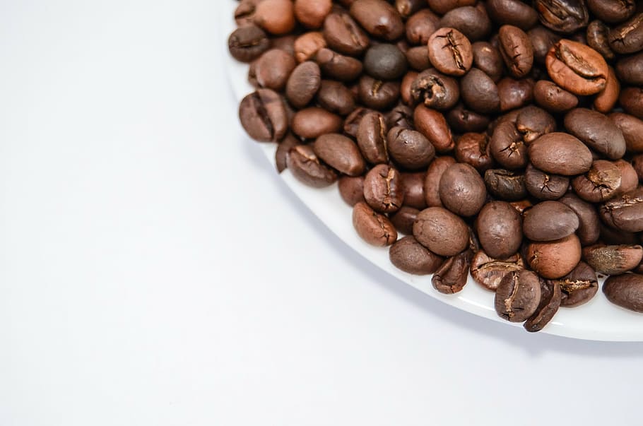 plate of coffee beans, the drink, caffeine, the brew, coffee maker HD wallpaper