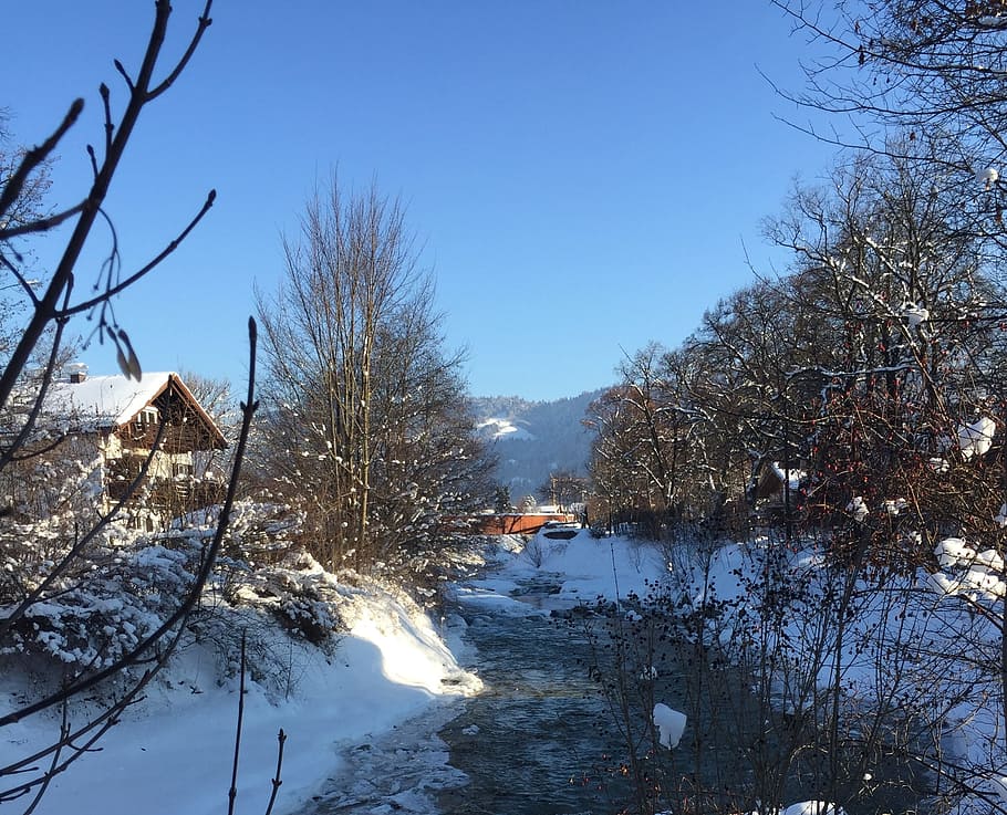 garmisch, partnach, winter, tree, cold temperature, snow, plant