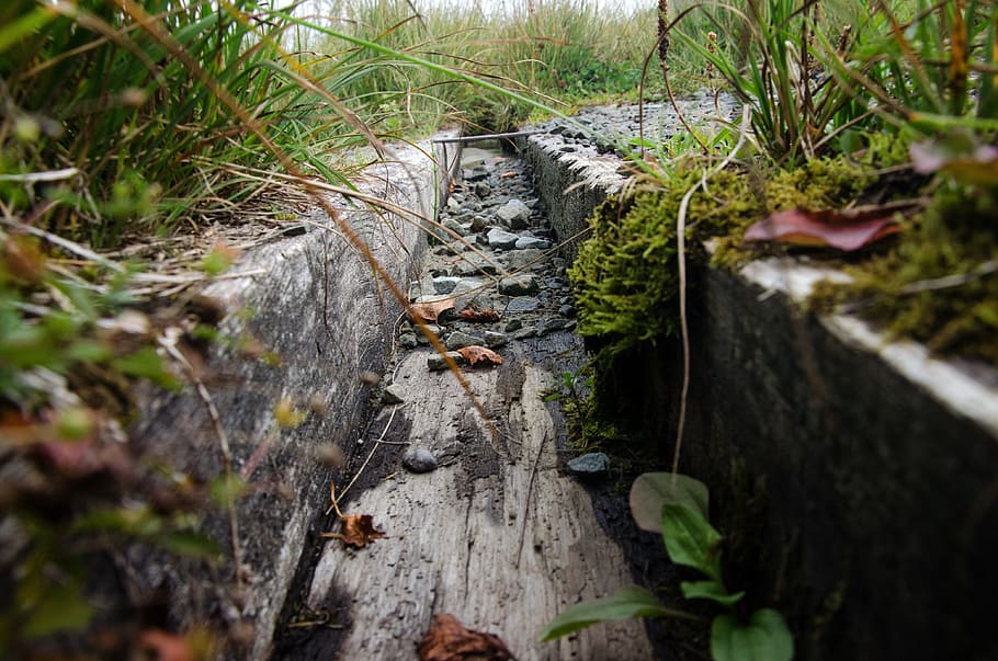 gutter, wood, water, rain, grass, old, wood tray, irrigation HD wallpaper