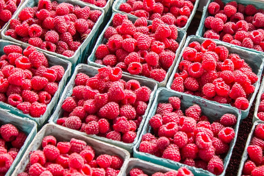 bundle of raspberry, berries, red, punnet, basket, food, food and drink HD wallpaper