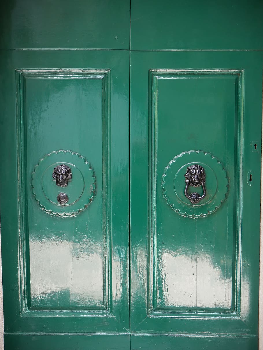 door, green, wood, decorative, door knocker, lion, lacquer, HD wallpaper