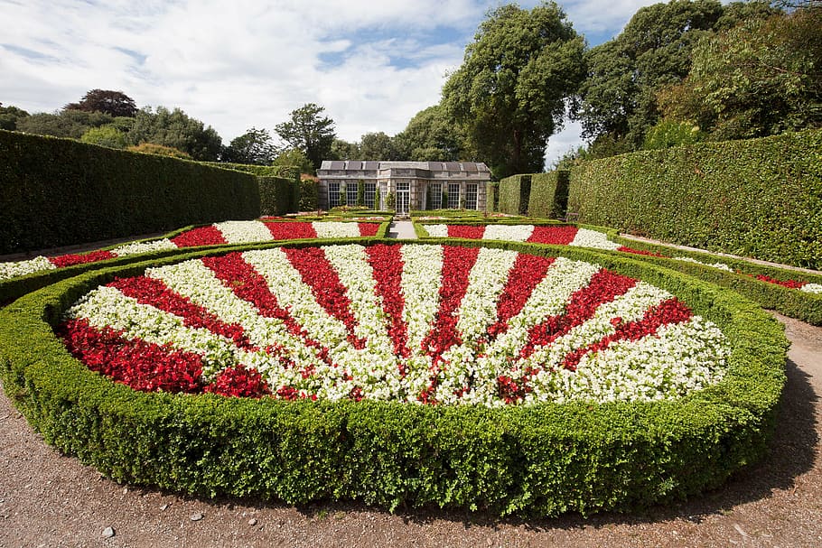 rondelle, flowers, architectural garden, red, white, french garden, HD wallpaper