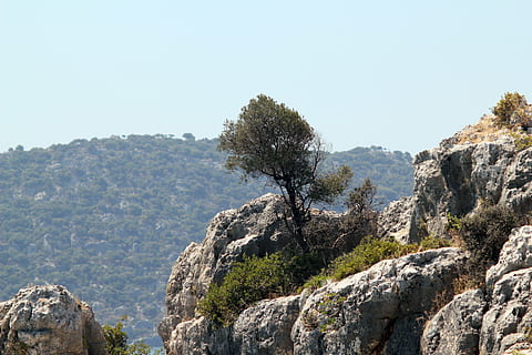 ancient, old romans, ancients, myth, past, antalya, turkey HD wallpaper