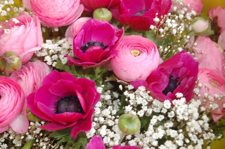 flower, nature, bouquet de fleurs, flowering plant, pink color, HD wallpaper