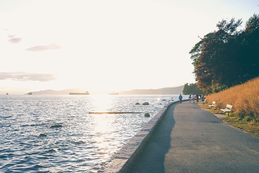 sea, ocean, water, waves, nature, road, street, path, coast HD wallpaper