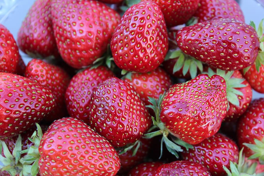 erdber, fruit, red, healthy eating, food, food and drink, berry fruit HD wallpaper