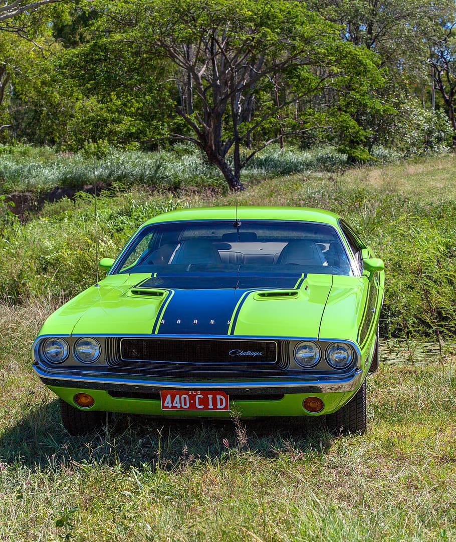 car, vehicle, transportation system, wheel, hurry, 1970 dodge challenger, HD wallpaper