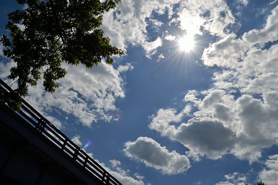 clouds, sun, trees, bridge, sky, blue, light, white, color HD wallpaper