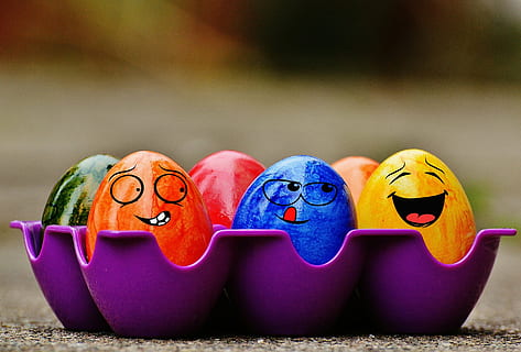 painted eggs in tray, easter, easter eggs, funny, colorful HD wallpaper