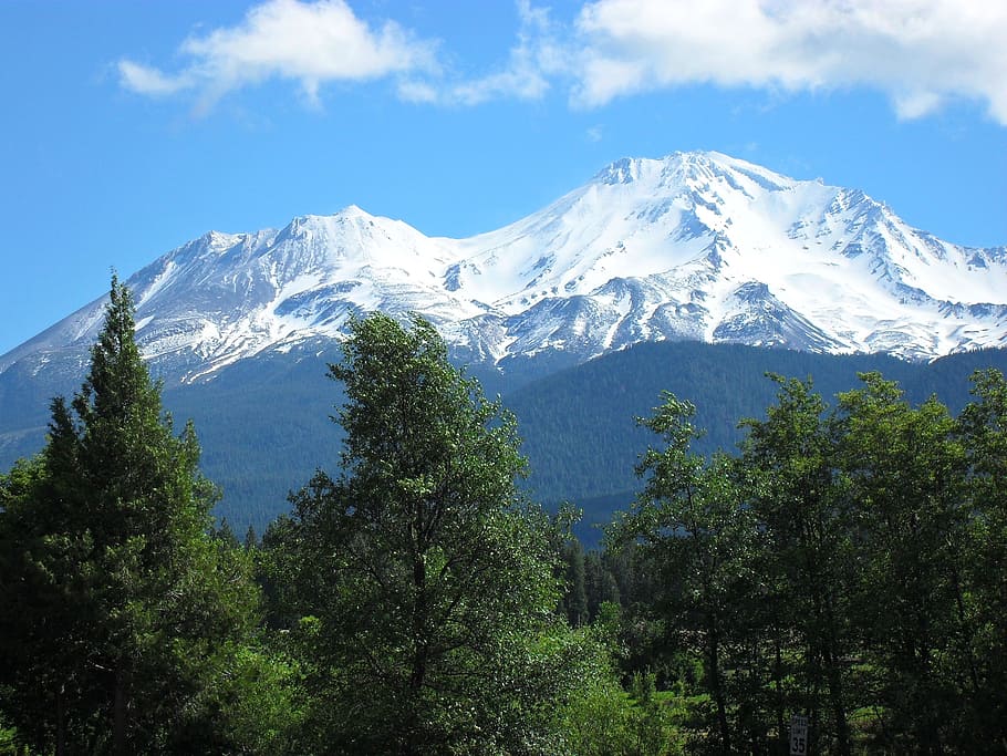 mount shasta, trees, blue, green, landscape, mountain, natural HD wallpaper