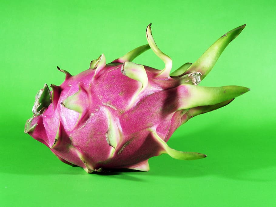 fruit, dragon, closeup, isolated, thailand, succulent, ripe HD wallpaper