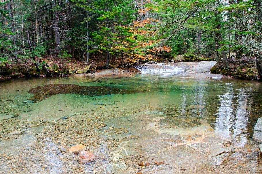 calm body of water surrounded by trees, white mountains, fall
