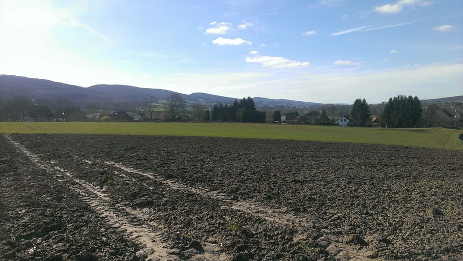 Arable, Landscape, Field, Nature, agriculture, rural scene HD wallpaper