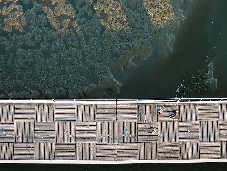 bird's eye view of people walking on the bridge, boardwalk HD wallpaper